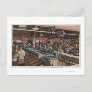 Sortierungs- und Verpackungsfabrik und -arbeiter ( Postkarte