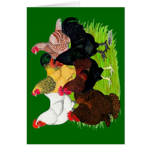 Sortiment für Schwerbrecher (Vorne)