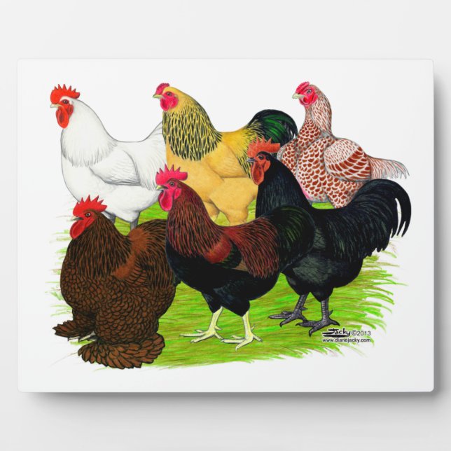 Sortiment für Schwerbrecher Fotoplatte (Vorderseite)