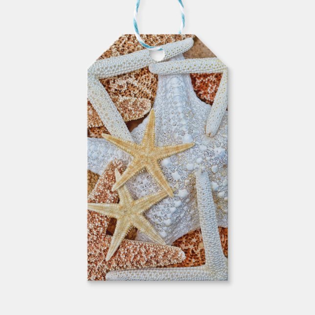 Sortiment von Starfish Geschenkanhänger (Vorderseite)