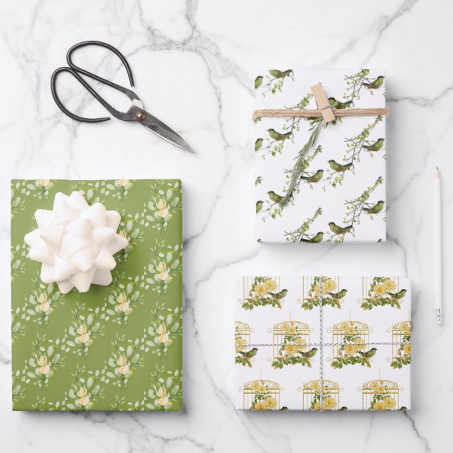 Sortiment von Vogelarten und Blumenblättern Geschenkpapier Set (Vorderseite)