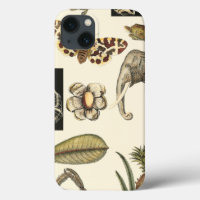 Sortited Animals Painted on Cream Background