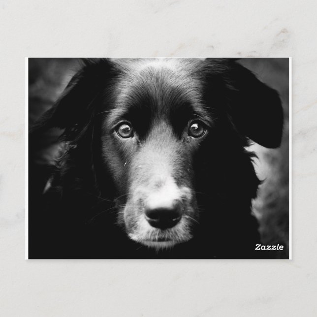 Soul Eyes Postkarte (Rückseite)