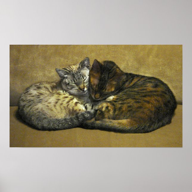 Soul Mates Poster (Vorne)