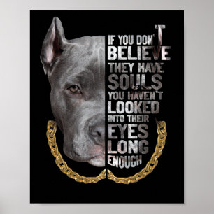 Soul Pitbull I Liebe Pitbull Dog Lover Poster