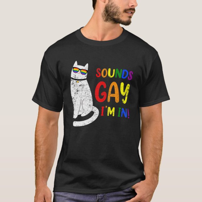Sounds Gay Ich bin in Chonk Cat Funny Kitty LGBT P T-Shirt (Vorderseite)