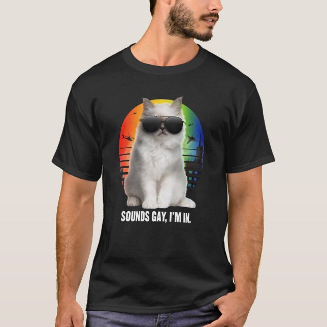 Sounds Gay I'm In Rainbow Cat Gay Pride Sunset Ret T-Shirt (Vorderseite)