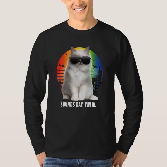 Sounds Gay I'm In Rainbow Cat Gay Pride Sunset Ret T-Shirt (Vorderseite)