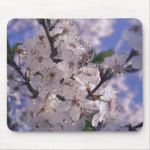 Sour Cherry Tree Blue Sky Mousepad