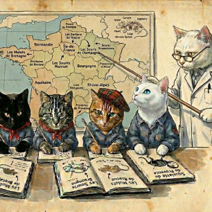 Sourisseries de France Regionaler Experte Maus Napf