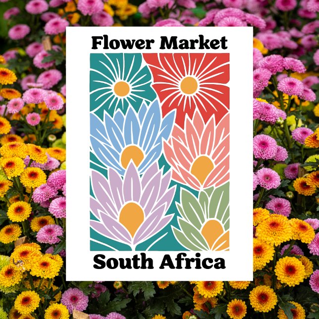 South Africa Flower Market Colorful Proteas Postkarte (South Africa Flower Market Colorful Proteas Postcard)
