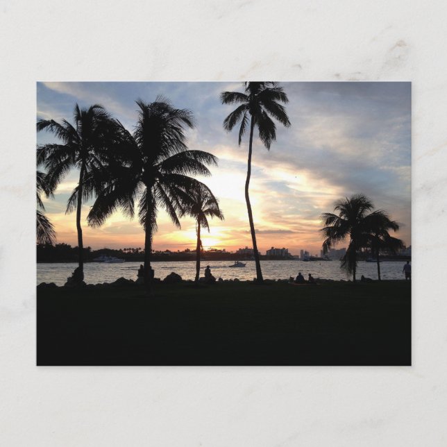 South Beach, Miami Palm Trees bei Sunset Postcard Postkarte (Vorderseite)