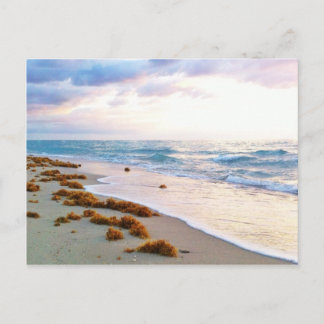 South Beach Miami Postkarte