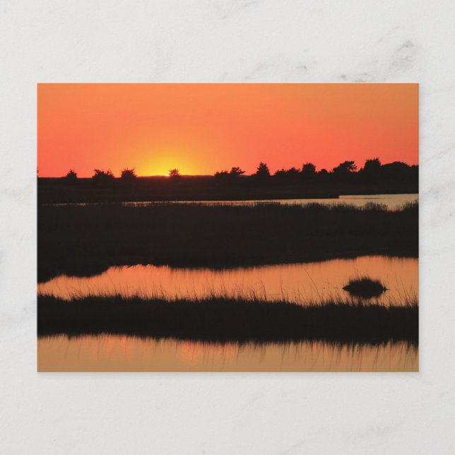 South Cape Beach Marshes bei Sunset Mashpee Cape C Postkarte (Vorderseite)