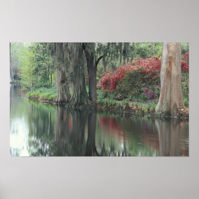 South Carolina, Charleston Poster (Vorne)