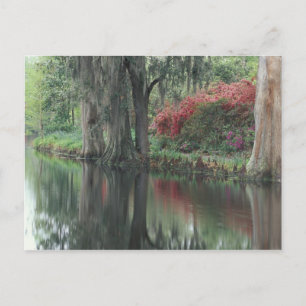 South Carolina, Charleston Postkarte