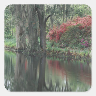 South Carolina, Charleston Quadratischer Aufkleber