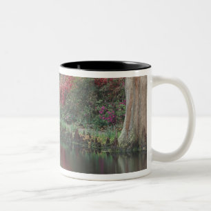 South Carolina, Charleston Zweifarbige Tasse