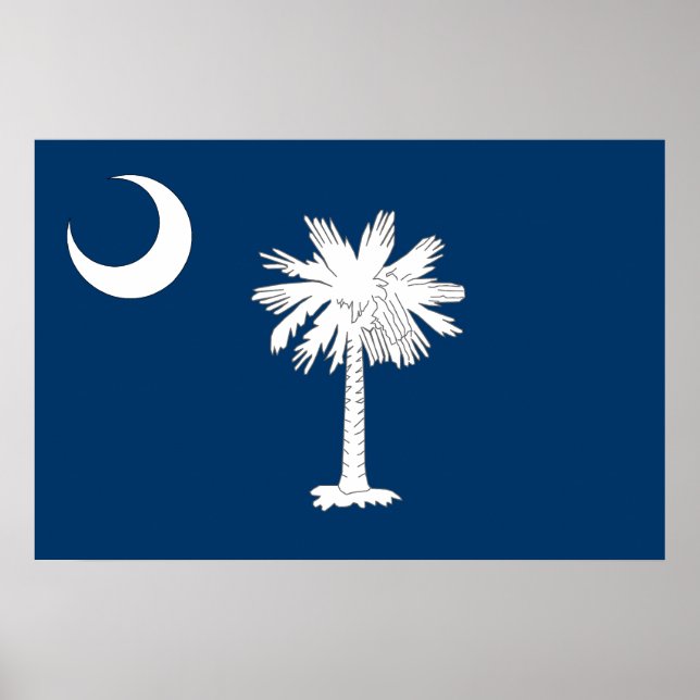 South Carolina, Flagge der Vereinigten Staaten Poster (Vorne)