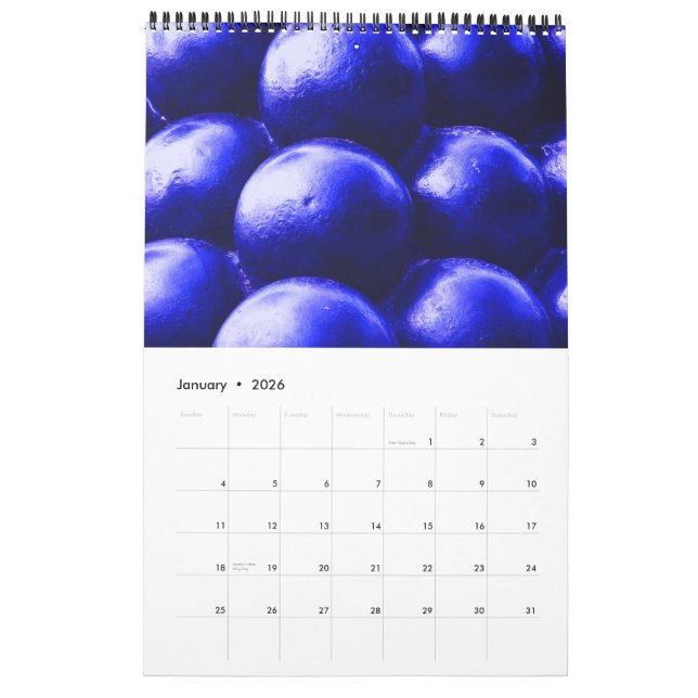 South Carolina ~ Geheimnis und Geschichte Kalender (Jan 2026)