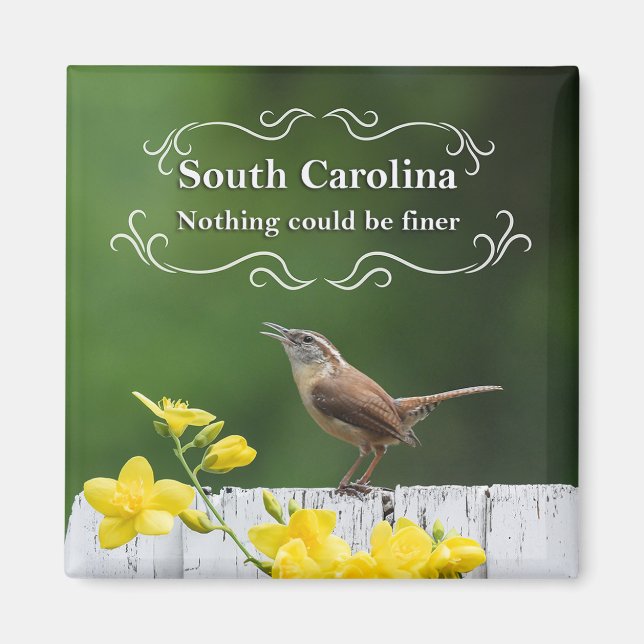 South Carolina Magnet (Vorne)