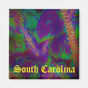South-Carolina-Magnet Magnet