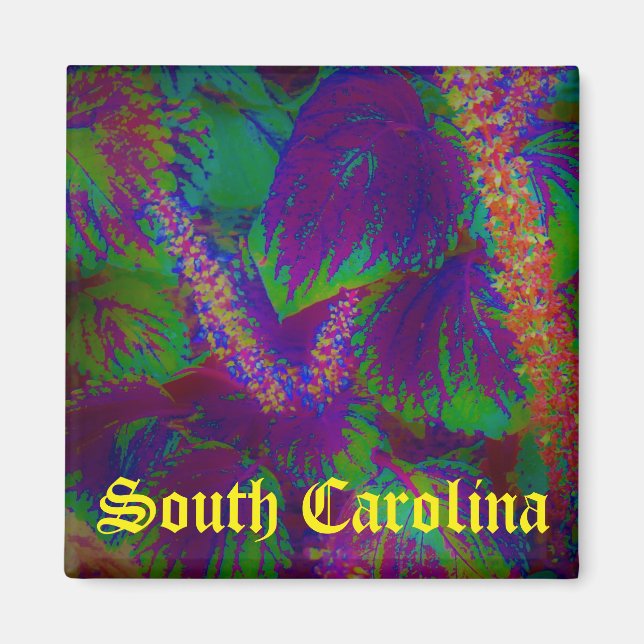 South-Carolina-Magnet Magnet (Vorne)
