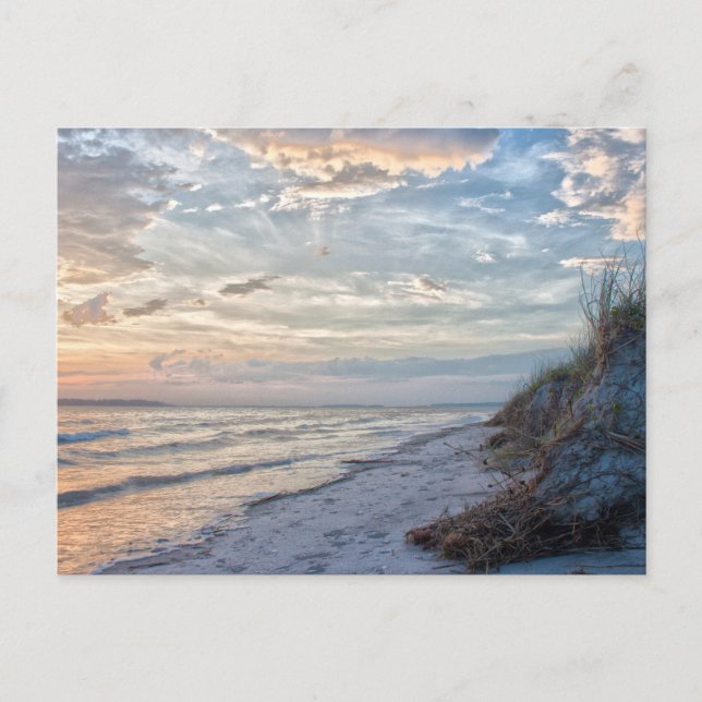 South Carolina Postcard Postkarte (Vorderseite)