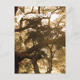 South Carolina Postkarte