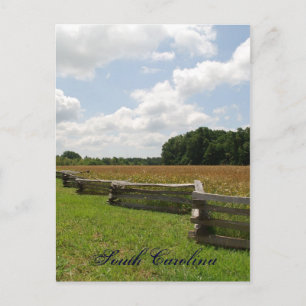 South Carolina Postkarte