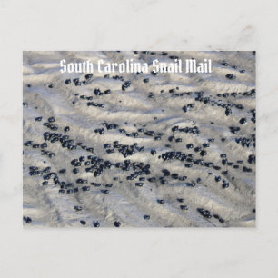 South Carolina - Snail Mail 2 Postkarte