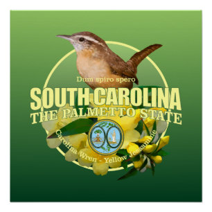 South Carolina Staat Bird & Blume Poster