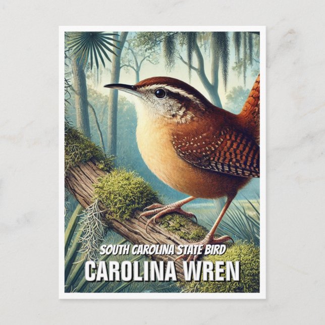 South Carolina Staat Bird Carolina Wren Postkarte (Vorderseite)