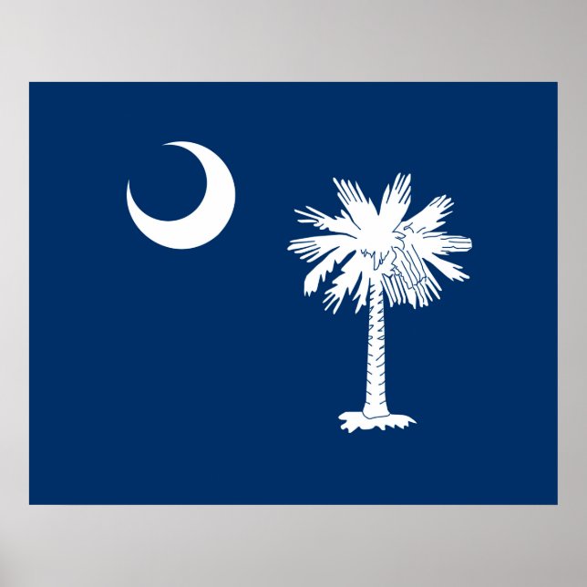South Carolina State Flag Design Accent Poster (Vorne)