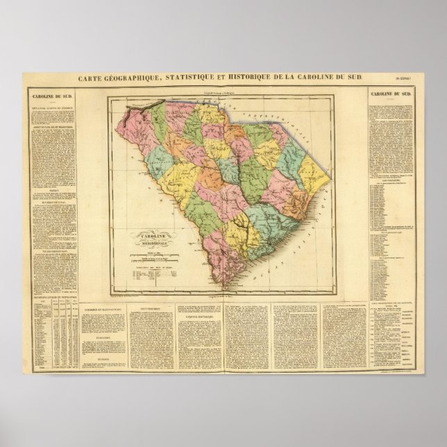 South Carolina USA Poster (Vorne)