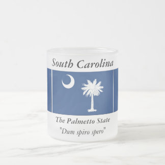 South- CarolinaStaats-Flagge Mattglastasse