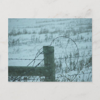 South Dakota Snowstorm Postkarte