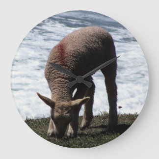 South Devon Lambe Grazing on Wild Coastline Große Wanduhr