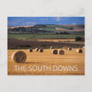South Downs Postkarte