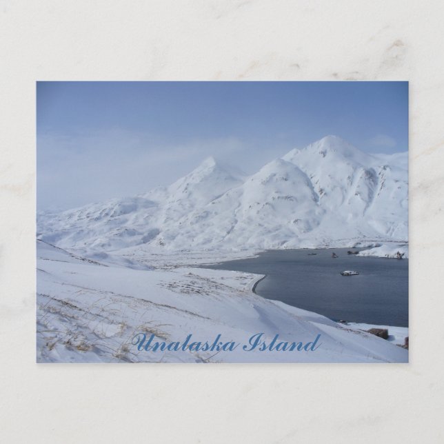 South End of Captain's Bay, Insel Unalaska Postkarte (Vorderseite)