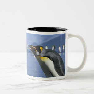 South Georgia Island, St. Andrews Bay, King Zweifarbige Tasse