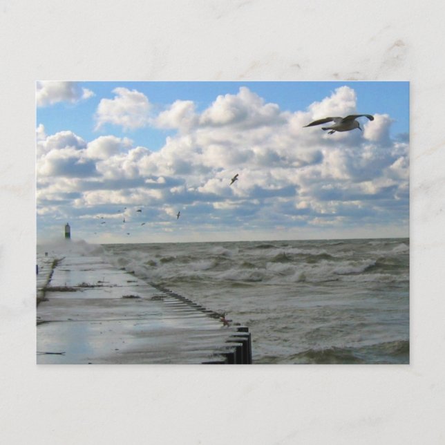 South Haven Pier Postcard Postkarte (Vorderseite)