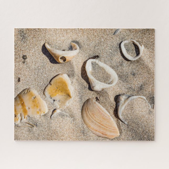 South Padre Island, Sand & Muscheln Puzzle (Horizontal)