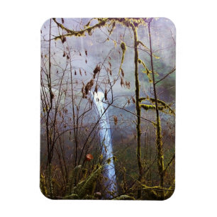 South Silver Falls, OR Magnet