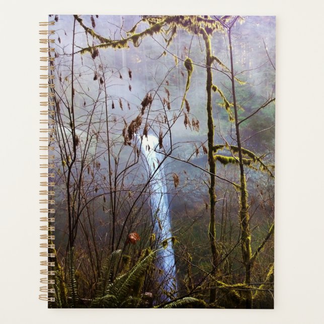 South Silver Falls, OR Planer (Vorderseite)