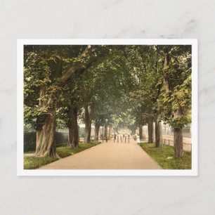 South Walk, Dorchester, Dorset, England Postkarte