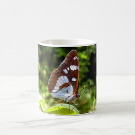 South White Admiral Butterfly Bug Tasse