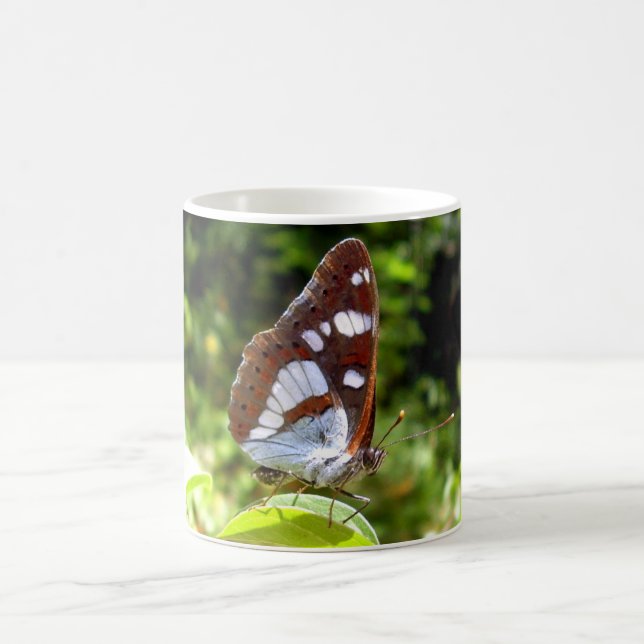 South White Admiral Butterfly Bug Tasse (Mittel)
