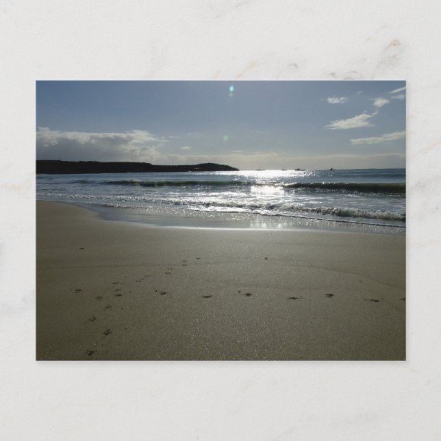 Southend Sparkle Postkarte (Vorderseite)