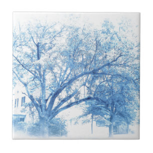 Southern Blue Oak Toile Fliese
